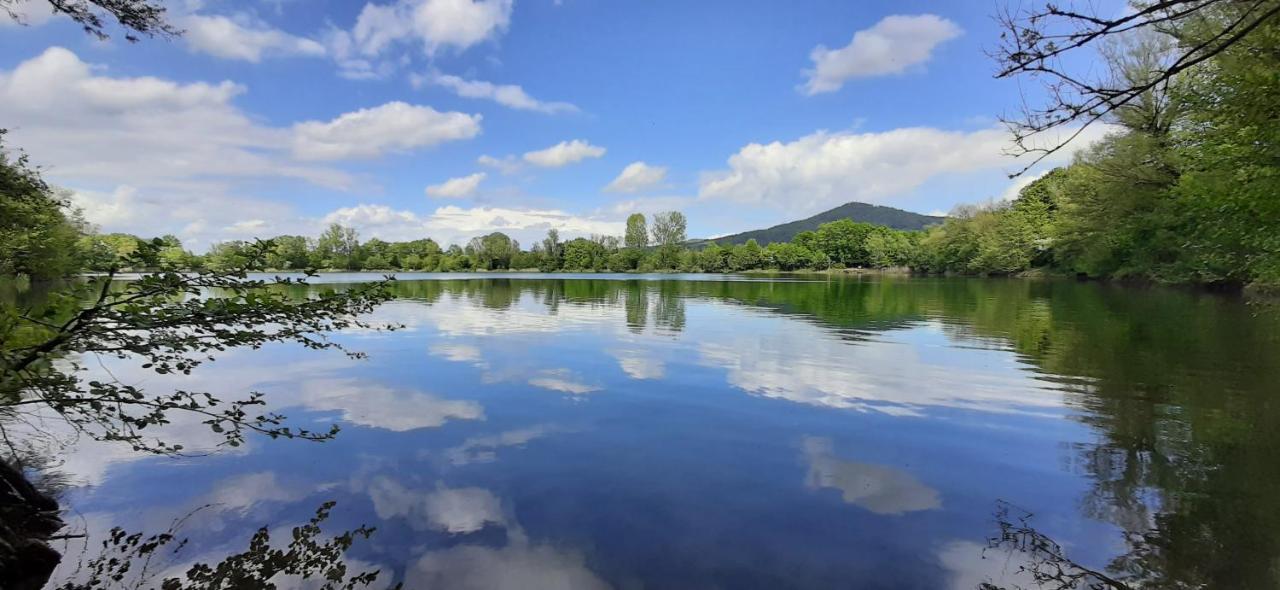 Melibokusblick Lägenhet Bensheim Exteriör bild